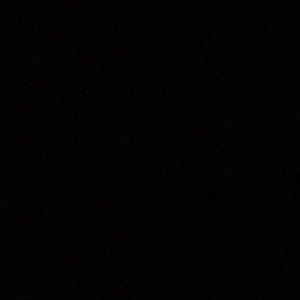 Meet your Posher, Carl